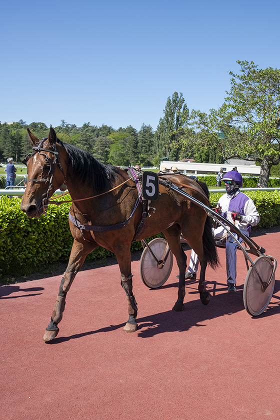 Grand prix de la ville de Bron | Ville de Bron